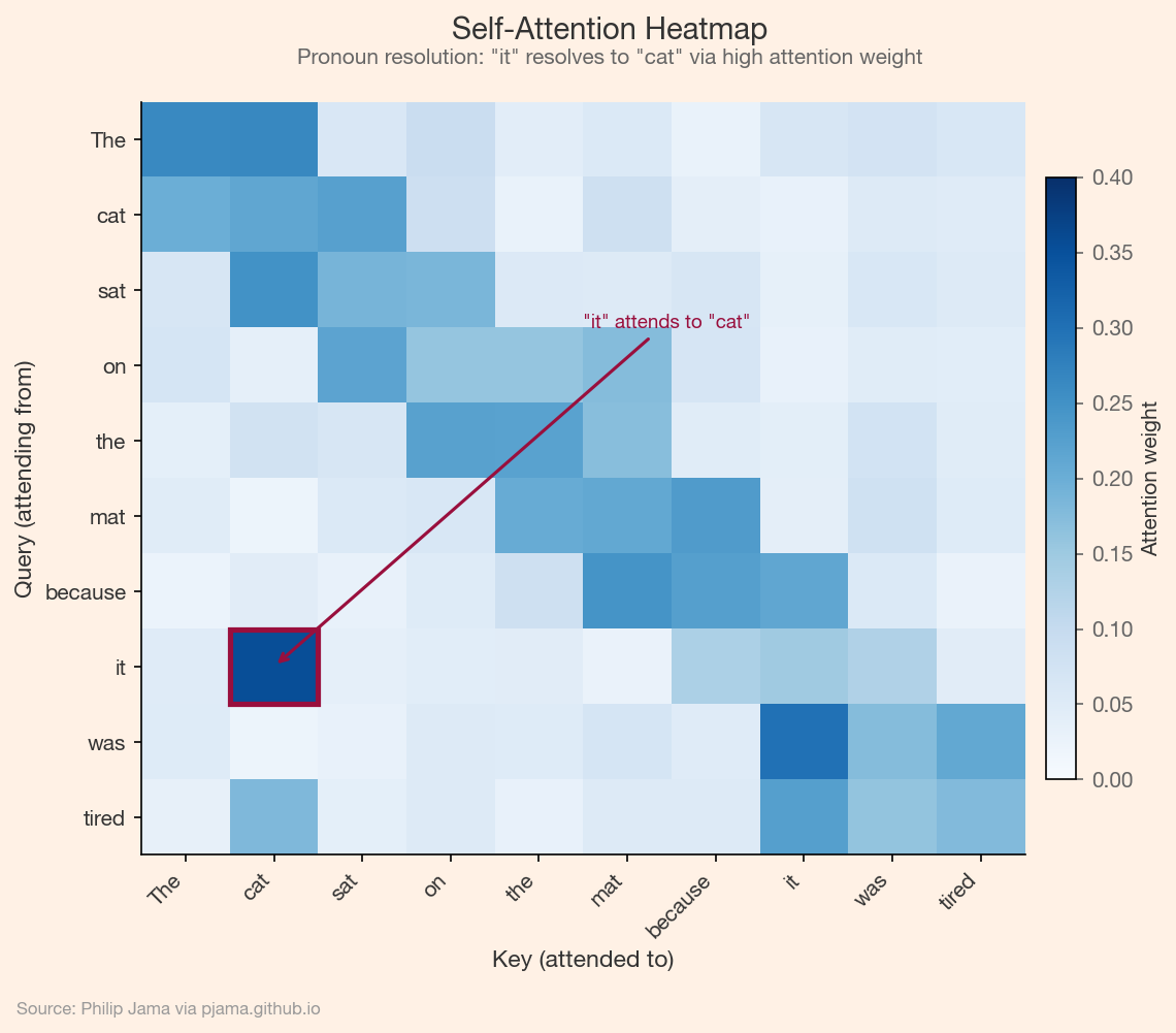 Self-attention heatmap showing pronoun resolution