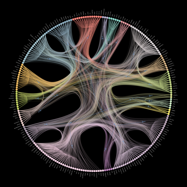 Organizational Network Graph Visualization